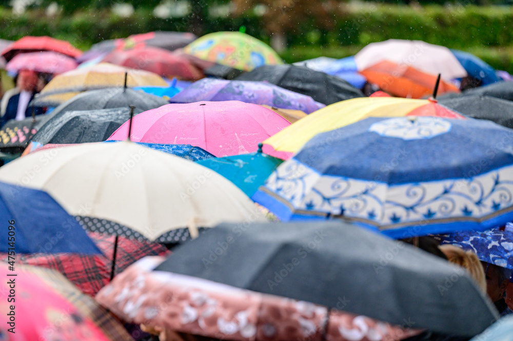 It's raining and a lot of different umbrellas, people are hiding from the rain.