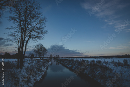 straight river in Latvia field, bare willow tree on left side. Blue sunset sky, all covered with snow © Neils