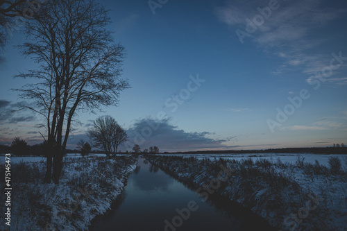 straight river in Latvia field, bare willow tree on left side. Blue sunset sky, all covered with snow photo