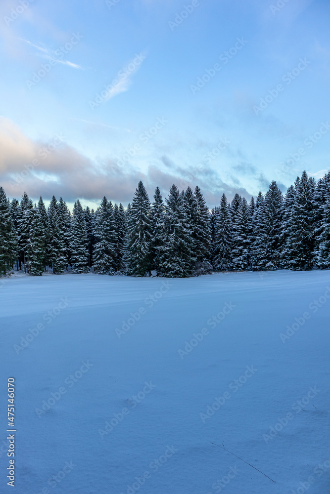 Obraz premium Erste Winterwanderung auf dem Rennsteig bei schönstem Sonnenuntergang - Deutschland