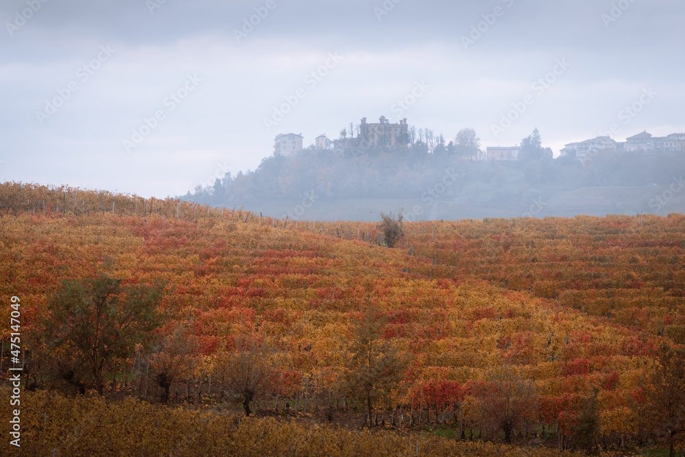 Beautiful autumn landscape of vineyard in Novello, Langhe, Italy - obrazy, fototapety, plakaty 