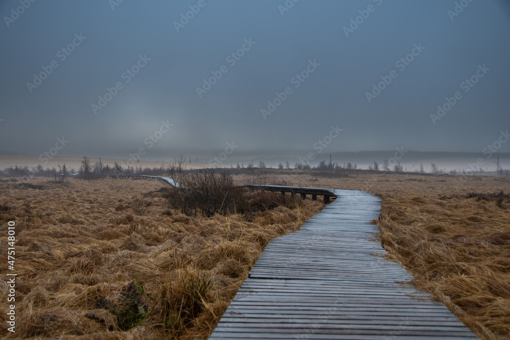 Wooden walkways lead through the moorland in the nature reserve 