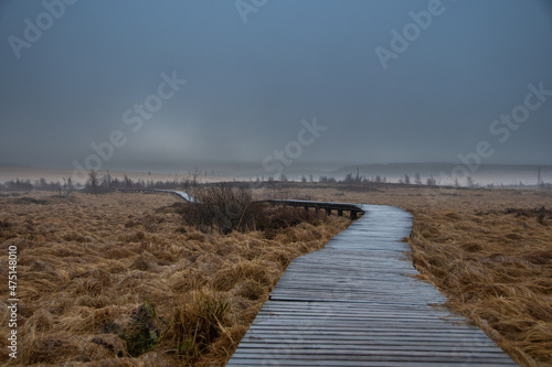 Wooden walkways lead through the moorland in the nature reserve  High Fens  in Belgium