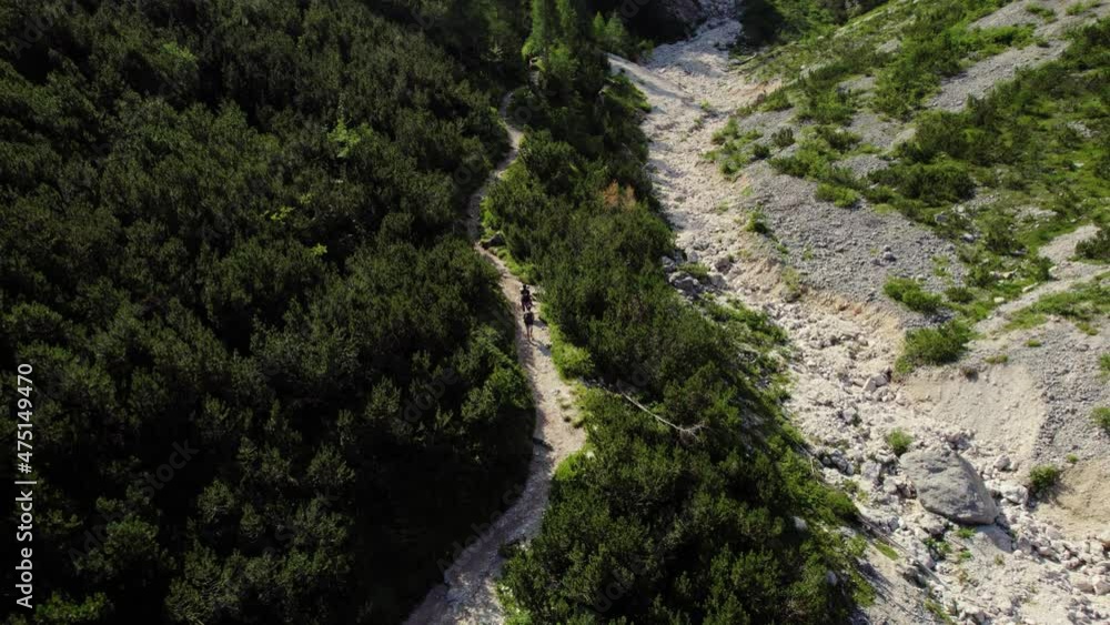 Hikers on a Mountain Path in the Dolomites Aerial Footage with Pine Landscape 4K UHD Footage Hikers on a Mountain Path in the Dolomites Aerial Footage with Pine Landscape 4K UHD Footage