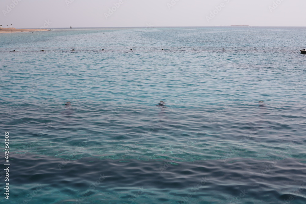 Beautiful seascape with turquoise water of the Red Sea. Wonderful clean azure sea water. Scenic backdrop with beautiful transparent water. Red Sea with sun shine on a sunny summer day.