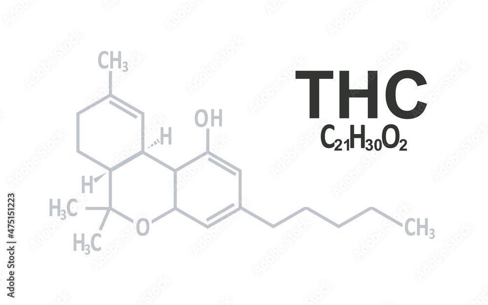 THC marijuana structure. vector illustration THC marijuana structure. vector illustration