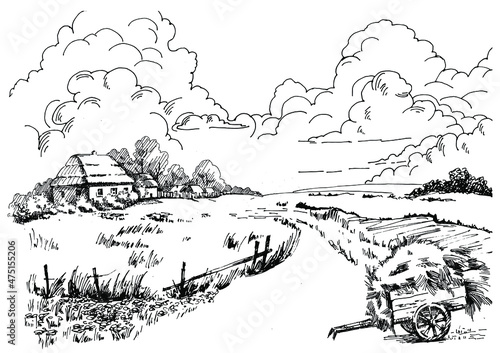 Rural scenery landscape panorama of countryside pastures. Green grass field on small hills. Vector sketch illustration