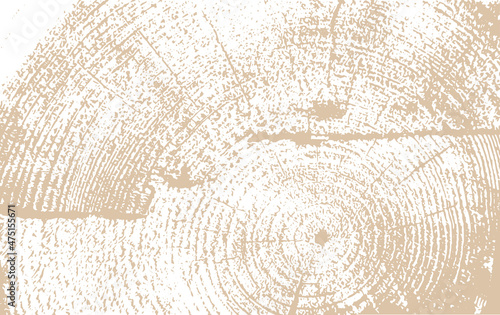 circular wooden board texture vector illustration background