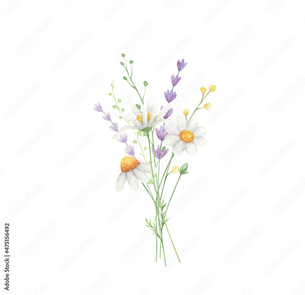 Obraz premium Daisy watercolor arrangements summer bouquets isolated on white background. Wildflowers compositions. 