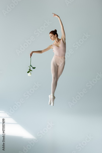 Fotobehang full length of elegant ballerina in bodysuit holding rose and levitating with ra