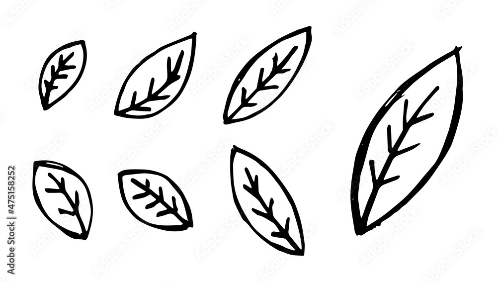 Hand drawn simple leaves. Sketch leaf set. Vector drawing eps illustration Hand drawn simple leaves. Sketch leaf set. Vector drawing eps illustration
