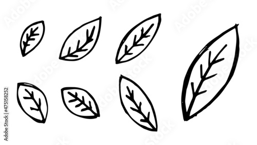 Hand drawn simple leaves. Sketch leaf set. Vector drawing eps illustration