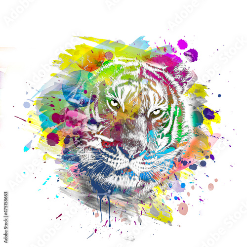 tiger head with creative co...