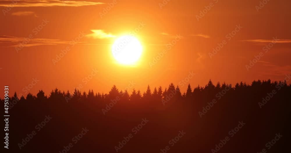 sunset and the tops of large trees video sunset and the tops of large trees video
