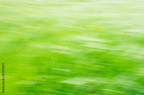 abstract light green background, wind at field
