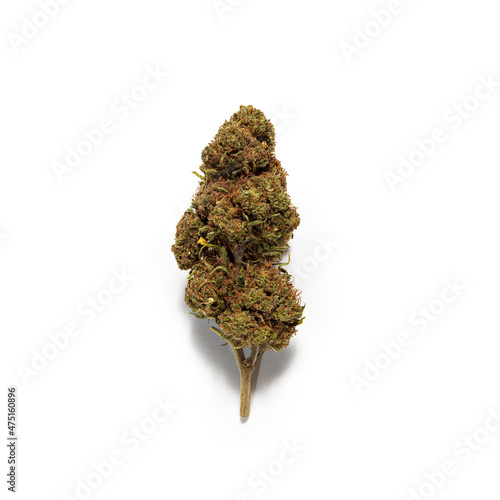 marijuana, marijuana light, infiorescenze, cannabis, sativa, indica, tetrahydrocannabinol, cannabidiol, psychoactive drug, gangia, psychoactive, droga, droga leggera, stupefacente, divertente, fiore,  photo