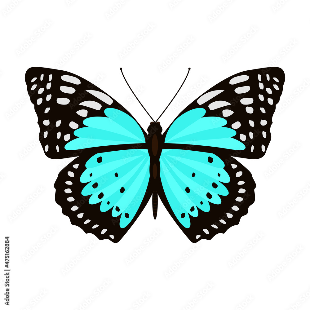 Blue butterfly flat vector illustration