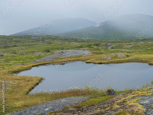 Small pond lake with cotton grass and moss with green mountains hidden in thick fog. Sweden Lapland summer landscape, moody and foggy wild nature at Padjelantaleden hiking trail.