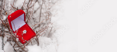 a ring with a large gemstone in a box on branches in the snow with a place for text in the form of a banner