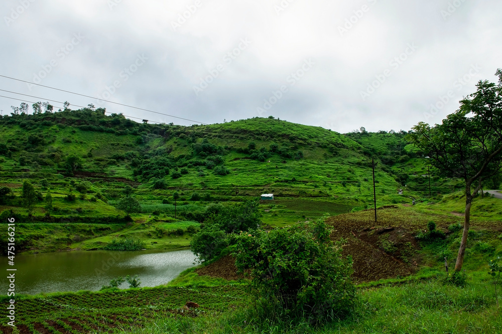  scenic view of a slops of mountain range covered with green cultivation land and small cottage or hut located in the middle of the mountain range.Water lake flowing around the mountain