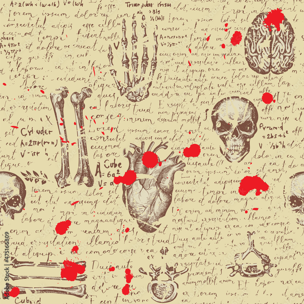 Seamless pattern with hand-drawn human skulls, bones and organs on an ...