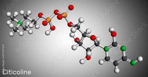 Citicoline, CDP-choline, cytidine diphosphate-choline molecule. It is used as a nutritional supplement Molecular model. 3D rendering photo