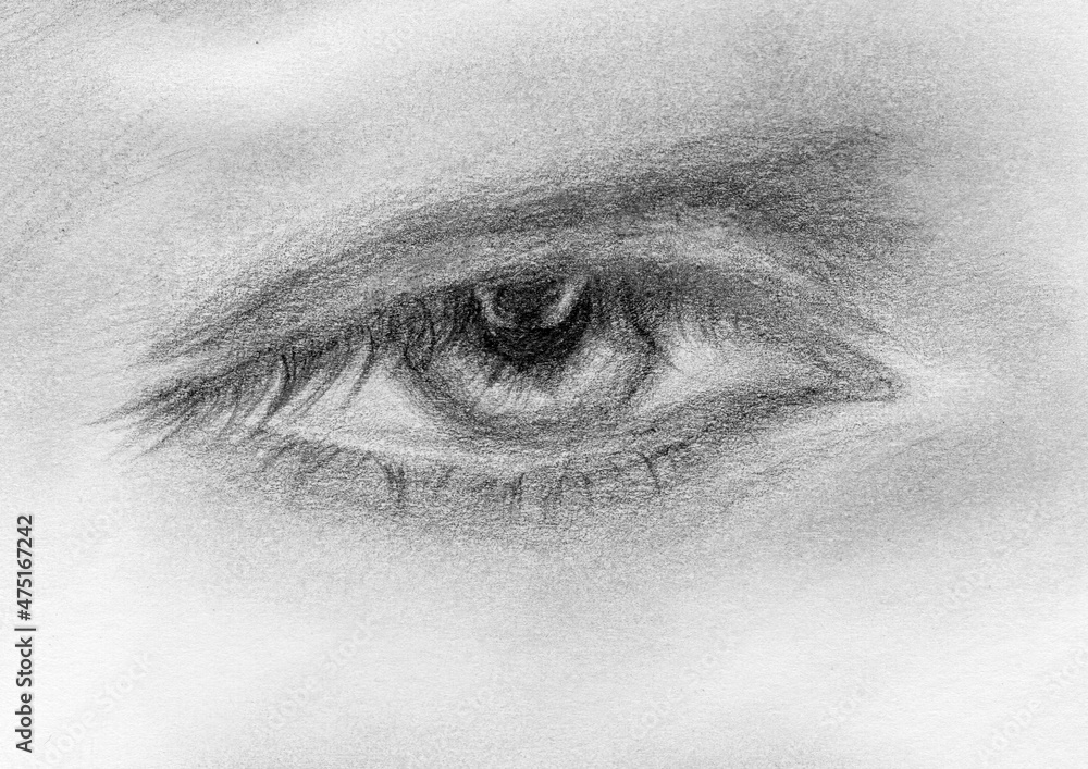 Fototapeta premium Monochrome pencil drawn eye. Hand drawn eye close up on a white background. Art fashion illustration on paper texture. Black and white realistic eye with grey shadows