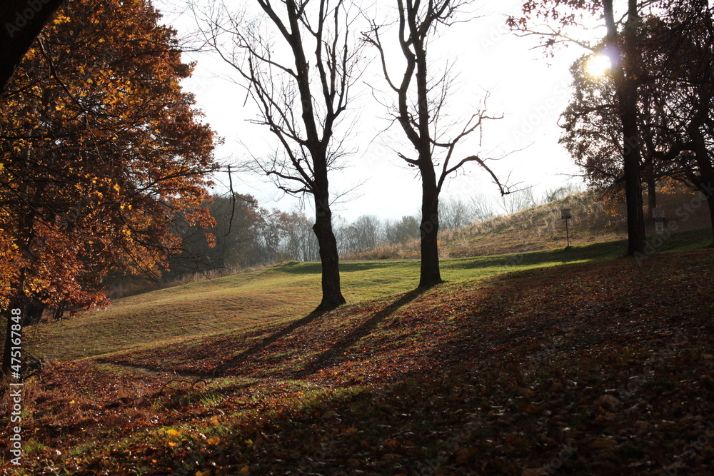 Naklejka premium Fall Landscape