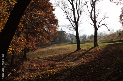 Fall Landscape