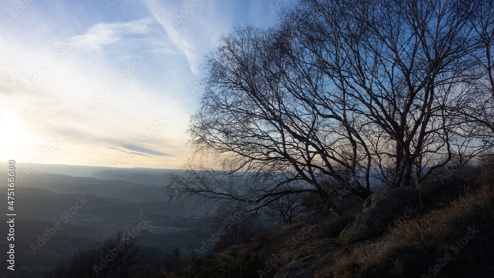 Trees in mountains against the sunset sky Trees in mountains against the sunset sky
