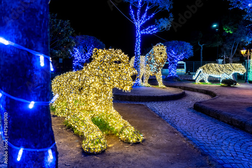 Fotografija The Very beautiful Christmas lights in Gaeta, fairy tales of light 2019, Gaeta, Lazio, Italy