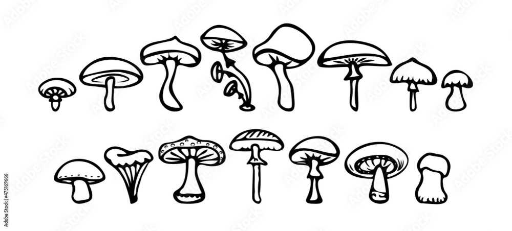 Vector mushrooms and forest symbols on a white background. Set of vector hand-drawn, doodles mushrooms. Icons isolated on white backgroun for recipes, design menu, packages. Vector design elements. Vector mushrooms and forest symbols on a white background. Set of vector hand-drawn, doodles mushrooms. Icons isolated on white backgroun for recipes, design menu, packages. Vector design elements.