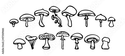 Vector mushrooms and forest symbols on a white background. Set of vector hand-drawn, doodles mushrooms. Icons isolated on white backgroun for recipes, design menu, packages. Vector design elements.