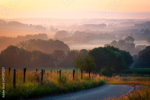 Road with misty landscape