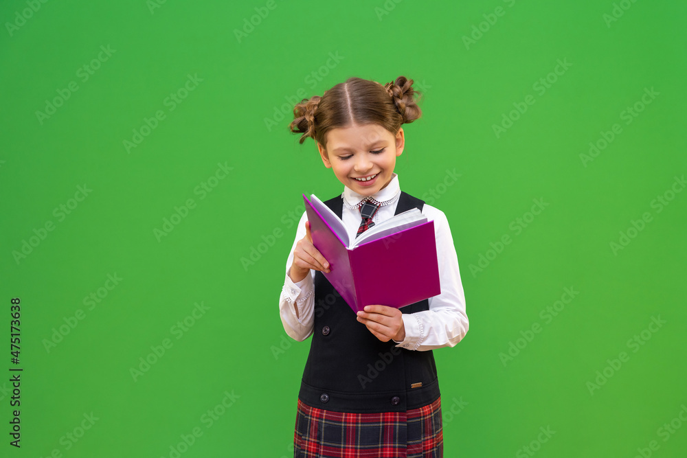 a little joyful schoolgirl reads information from a textbook. a student with pigtails on an isolated background. a little joyful schoolgirl reads information from a textbook. a student with pigtails on an isolated background.