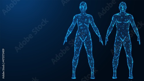 Human anatomy. The physical body of a woman and a man. Polygonal design of thin lines and dots. Blue background.