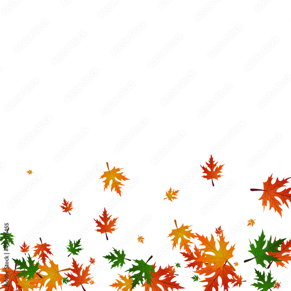 Colorful Leaves Background White Vector. Foliage Ground Texture. Green Down. Paper Template. Ocher Maple Tree.