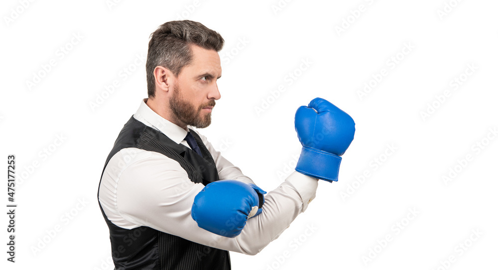 businessman in boxing gloves. punching. successful ceo boxer. relentless struggle and success businessman in boxing gloves. punching. successful ceo boxer. relentless struggle and success