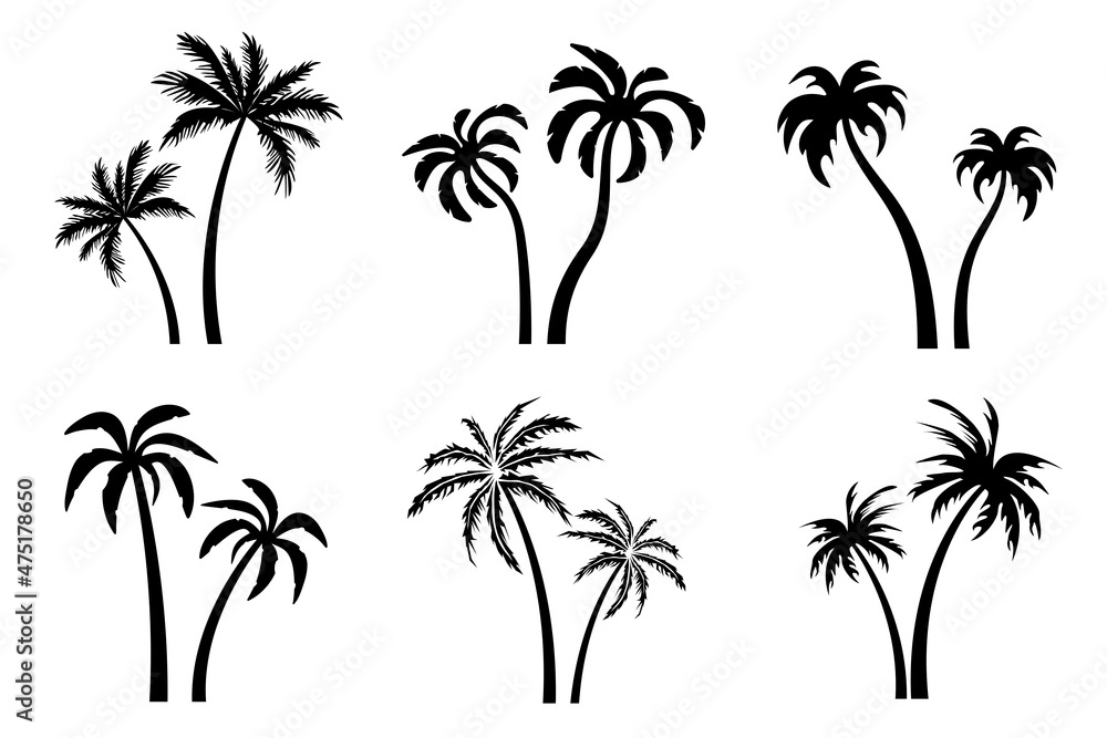 Palm tree black silhouette collection. Vector palms for design