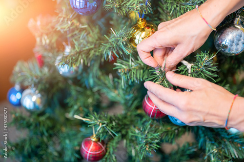 Christmas is coming: preparing the Christmas tree. The hands of a middle-aged Caucasian woman fix the decorations on the branches of the tree.
