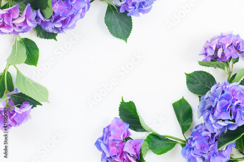 blue and violet hortensia flowers