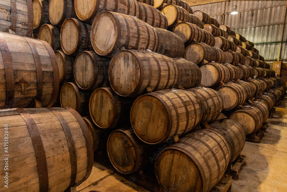 Wine barrels on old cellar