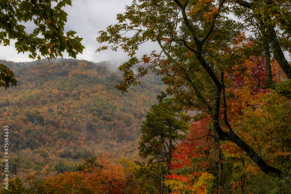 Autumn landscapes along the Blue Ridge Parkway in North Carolina, USA Autumn landscapes along the Blue Ridge Parkway in North Carolina, USA