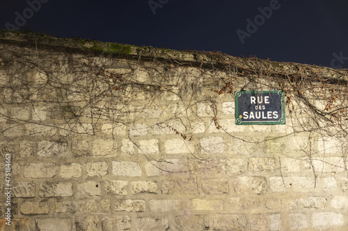 Wall with ivy in the city of Paris in Montmartre