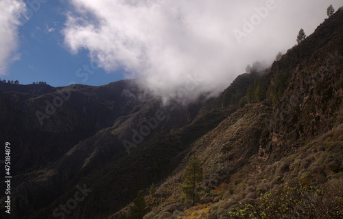 Gran Canaria, hiking route between Tenteniguada village in Valsequillo municipality and Pico de las Nieves, the highest point of the island, December