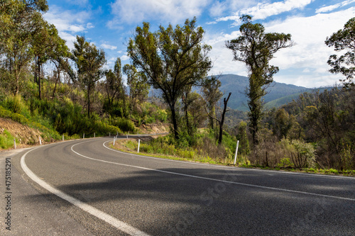 A winding road in the Victorian alpine region