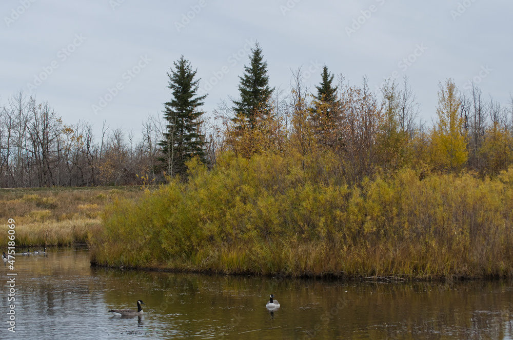 Pylypow Wetlands on a Cloudy Autumn Day Pylypow Wetlands on a Cloudy Autumn Day