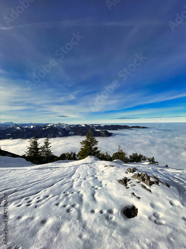 Wallpaper Mural landscape with dramatic fog, forest and mountains in winter  Torontodigital.ca
