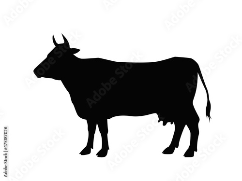 The silhouette of a cow. Domestic animal. Black illustration of a cattle.
