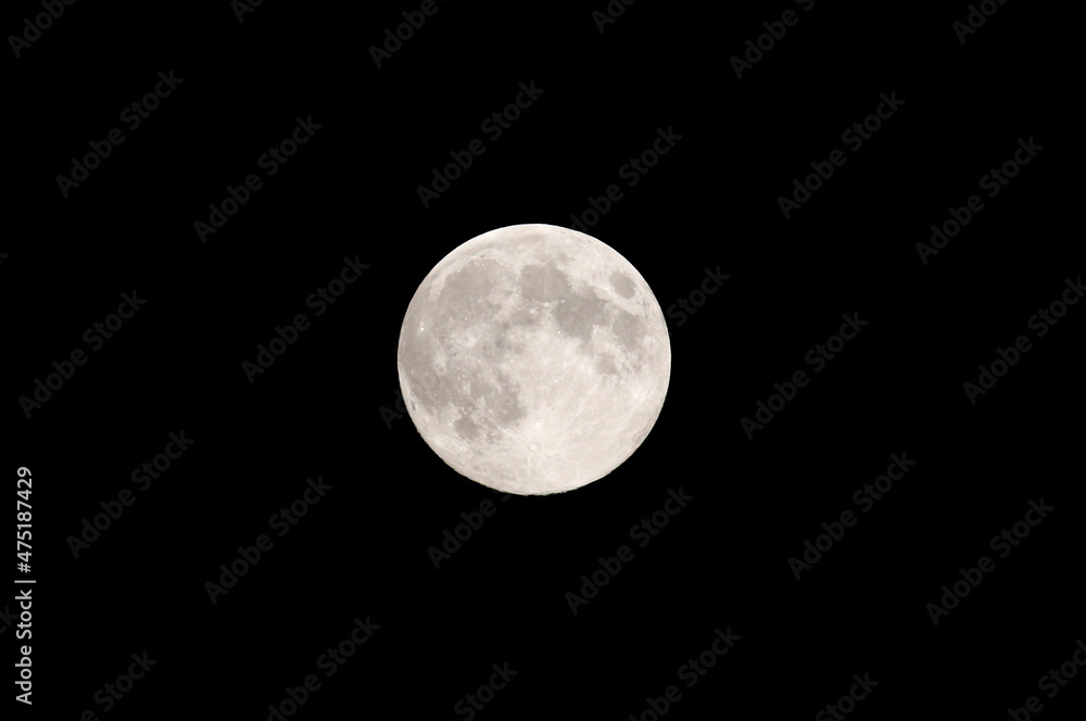 Naklejka premium Daily Life